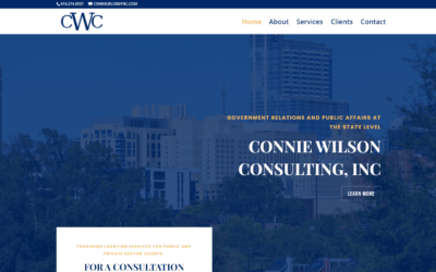 Connie Wilson Consulting, Inc.