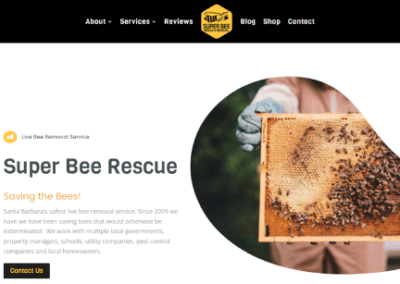 Super Bee Rescue